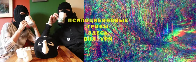 hydra ссылка  Красноярск  Псилоцибиновые грибы MAGIC MUSHROOMS 