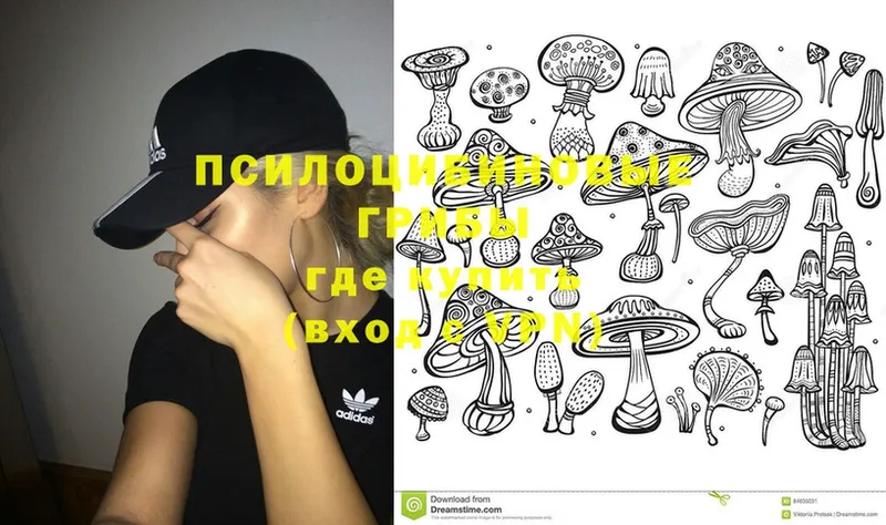 Псилоцибиновые грибы MAGIC MUSHROOMS Красноярск